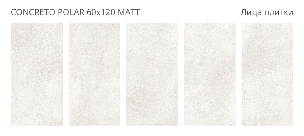 CONCRETO POLAR 60x120 MATT