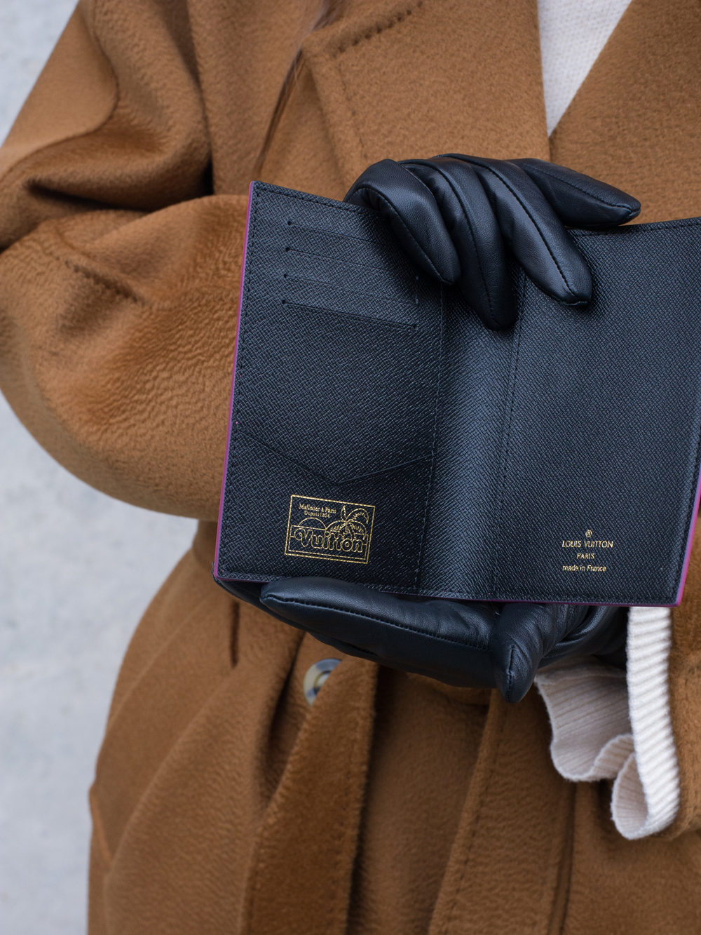 Louis Vuitton Обложка для паспорта
