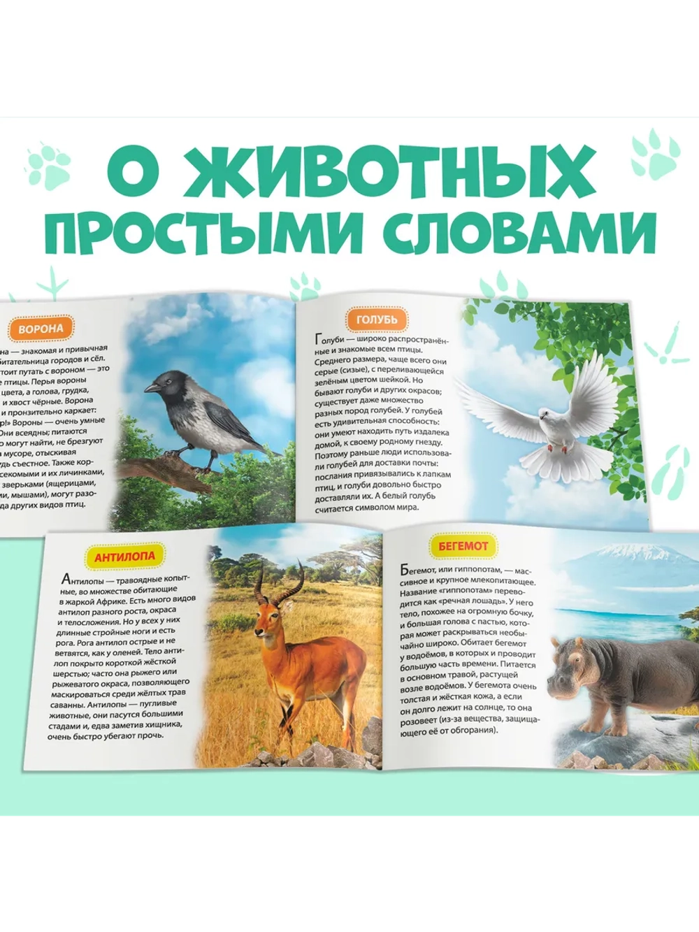 Книги для малышей Развивашки