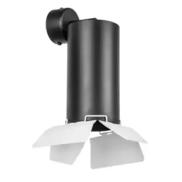Накладной точечный светильник 1*GU10 RB6487486 чёрный/белый Rullo Lightstar