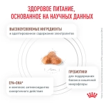 Сухой корм Royal Canin Gastrointestinal Fibre Response при запорах 350г