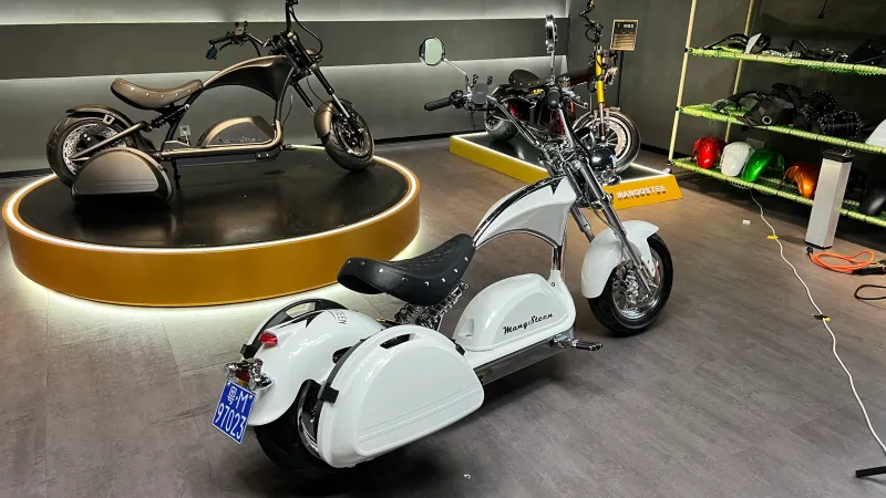 Боковые кофры для моделей M1/ M2/ M8/ M8S/ M1PS (ПОД ЗАКАЗ)