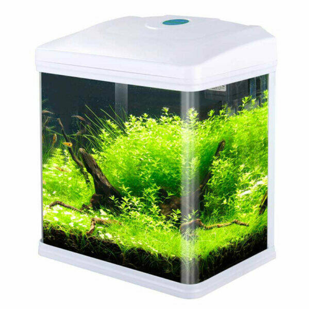 Barbus Аквариум (Led + top Filtr) Белый 9л