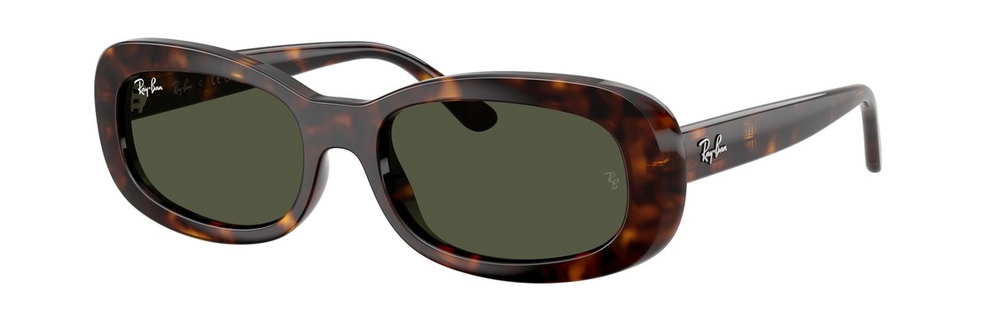 Солнцезащитные очки Ray-Ban ORB2221 902/31 Havana Oval