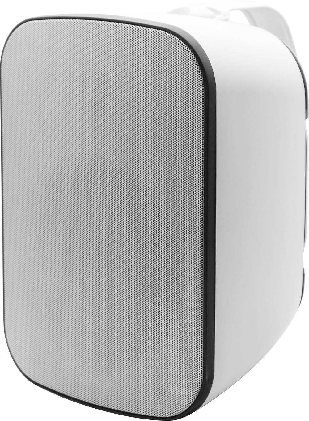 svs_paf-8w_web.png