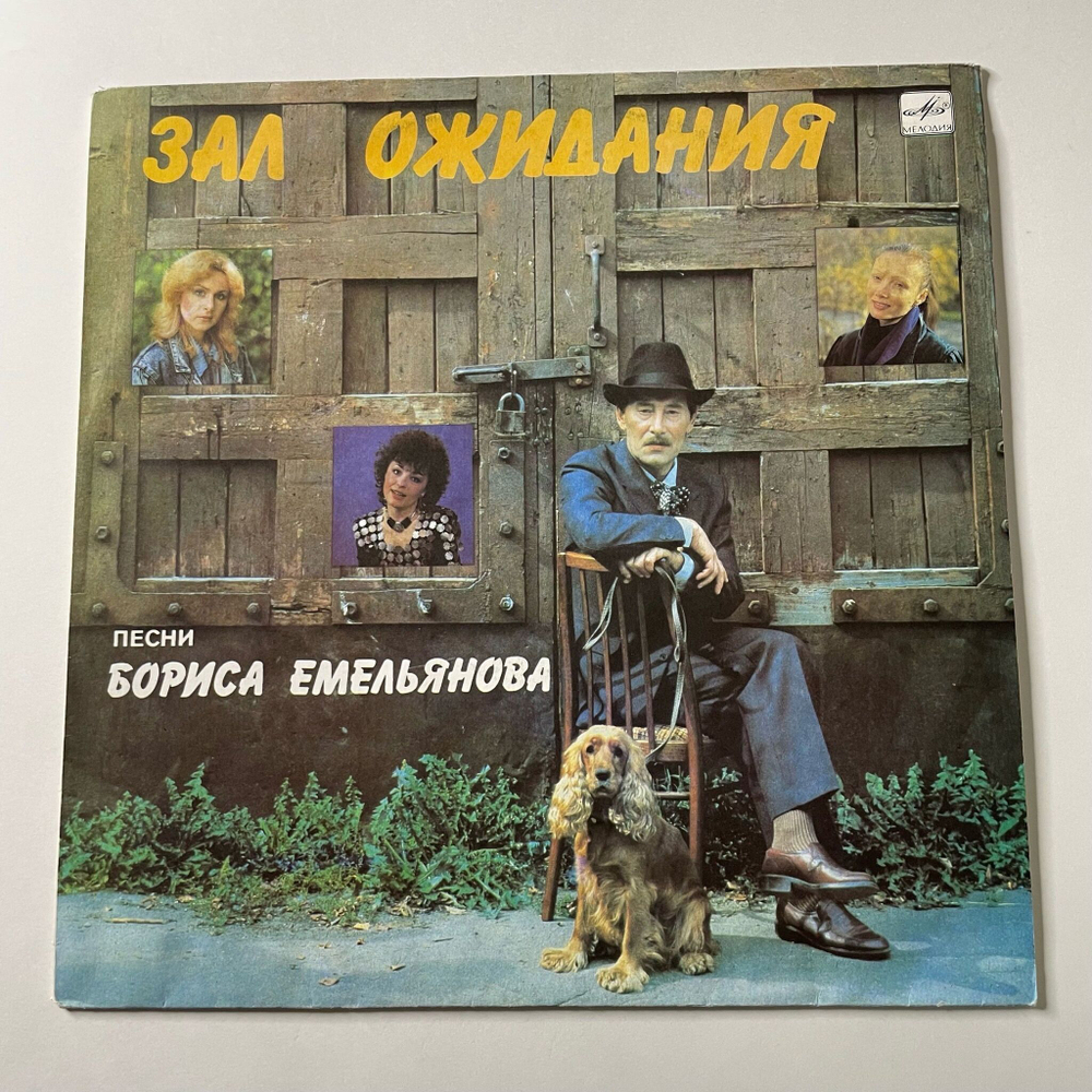 Винтажная виниловая пластинка LP Борис Емельянов Зал Ожидания (СССР 1990)