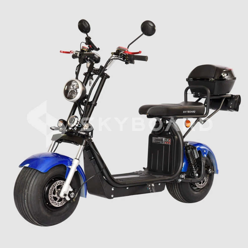 Электроскутер CityCoco SKYBOARD BR20-2WD Синий