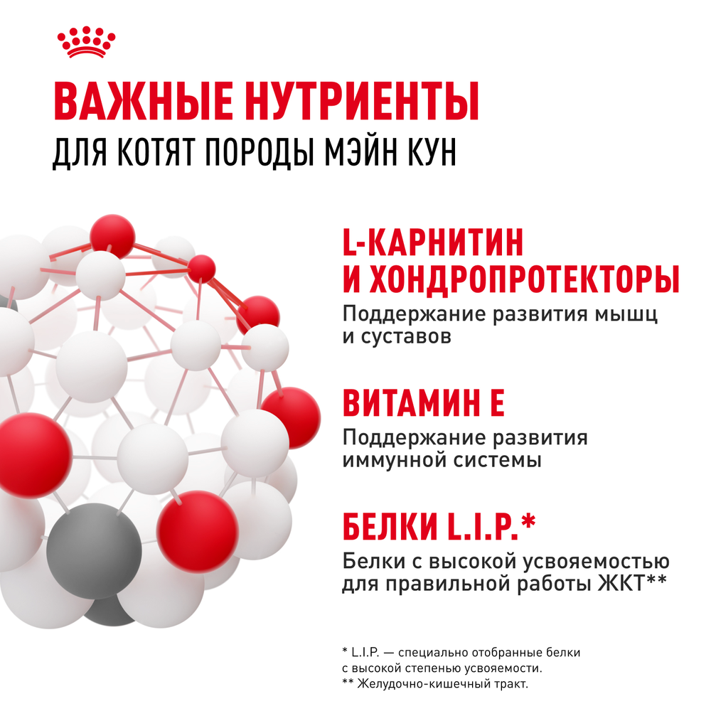 Royal Canin Maine Coon Kitten Мейн Кун Киттен Корм влажный для котят породы Мэйн Кун в возрасте до 15 месяцев соус 85г