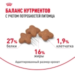 Сухой корм, для собак мелких пород с 10 месяцев до 8 лет Royal Canin РАЗВЕСНОЙ