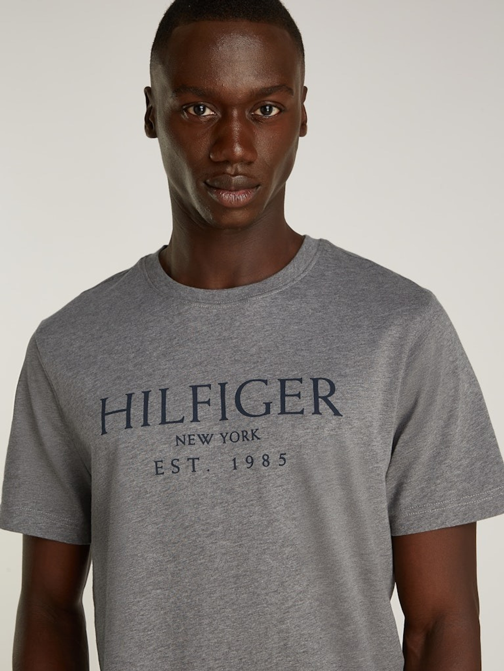 Футболка мужская TOMMY HILFIGER BIG HILFIGER TEE
