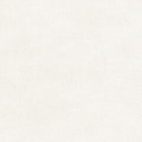 Alma Ceramica Berlin GFU04BLN04R 60x60
