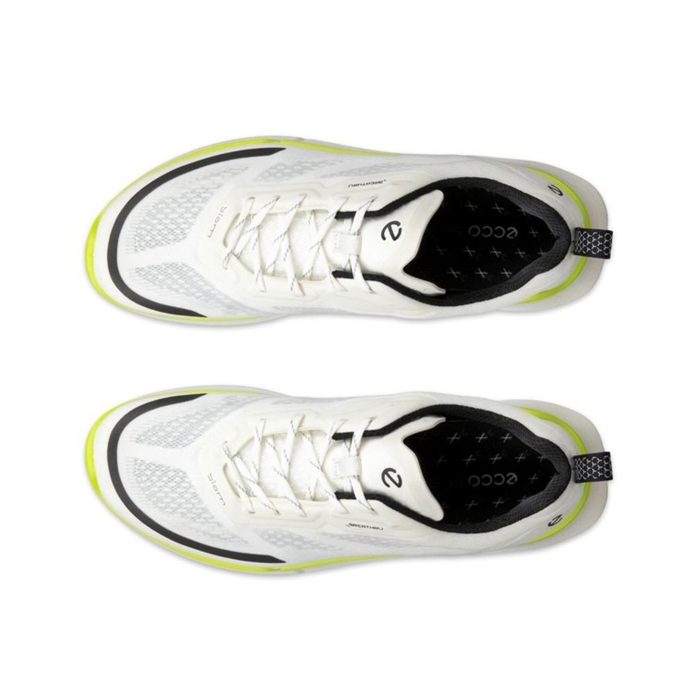 Кроссовки мужские ECCO BIOM 2.2 M