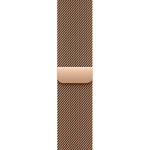 Умные часы Apple Watch Series 11 GPS + Cellular, 46mm, Natural Titanium Case with Gold Milanese Loop