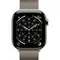 Умные часы Apple Watch Series 11 46 мм Titanium Milanese Loop Титановый Natural