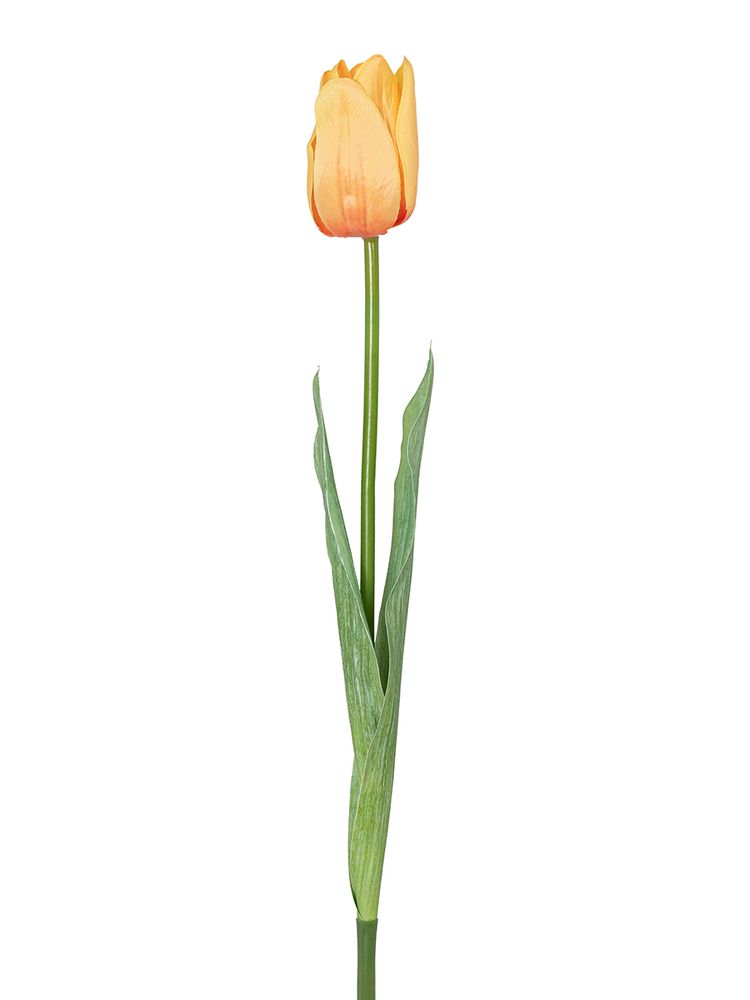 Цветок декоративный Fiebiger Floristik: Тюльпан, 203612-200 Цветок декоративный Fiebiger Floristik: Тюльпан, 203612-200