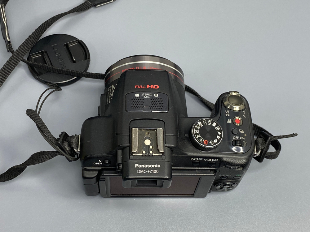 Panasonic Lumix DMC-FZ100