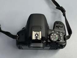 Canon EOS 850D — 13 800 кадров