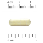 California Gold Nutrition, физетин, 100 мг, 90 растительных капсул