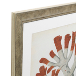 Постер Prints Antique red corals set of 6 арт.111741