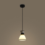 Подвесной светильник Freya Topi FR5503PL-01B1