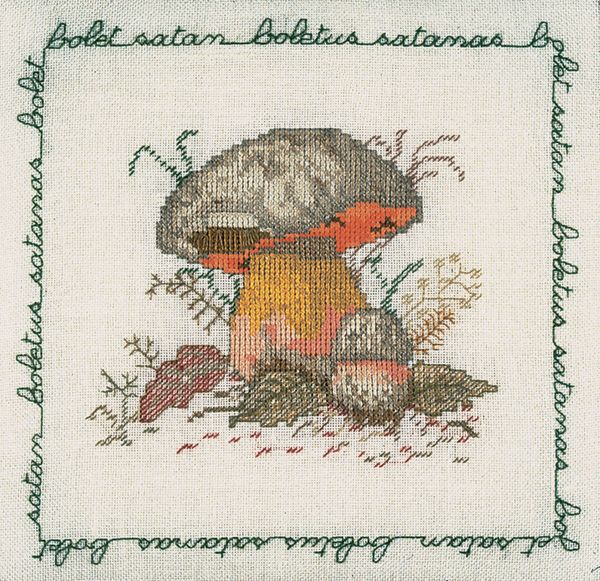 Набор для вышивания нитками Le Bonheur des Dames, Bolet Satan (Сатанинский гриб), 18,5х19 см
