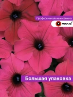 Петуния ампельная Даймонд Парпл F1 15шт