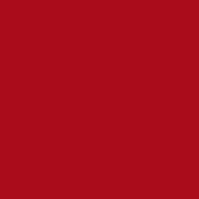 Цвет #a80c19
