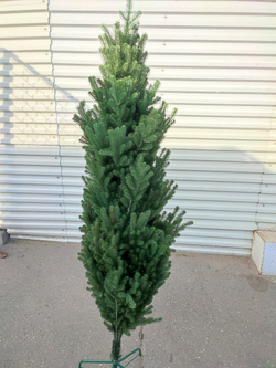 Литая искусственная ель Шервуд Премиум 180 см, Царь елка , Green Trees из Royal Forest, Triumf на MaxChristmas, литая ель из мелкой хвои, лапы по всей ветке