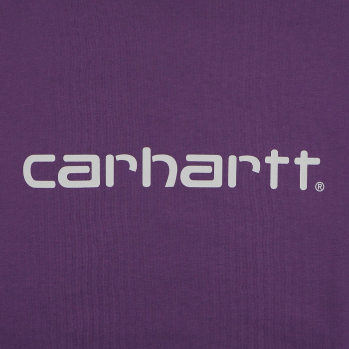 Футболка мужская Carhartt WIP Script артикул:I029915 - купить в магазине Дайс