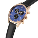 Наручные часы Bering 10542-567