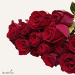 Фон карточки (67).png