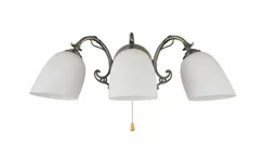 Бра Biene MR2524-3W MyFar