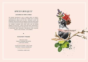 You First Pura Rinascita Spices Bouquet