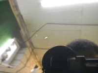 DSCN8316.jpg