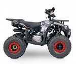 Квадроцикл YACOTA SIRIUS 110