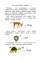 100 кроссвордов и ребусов