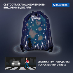 Мешок для обуви BRAUBERG PREMIUM, карман, подкладка, светоотражайка, 43х33 см, Sweet dreams, 270744