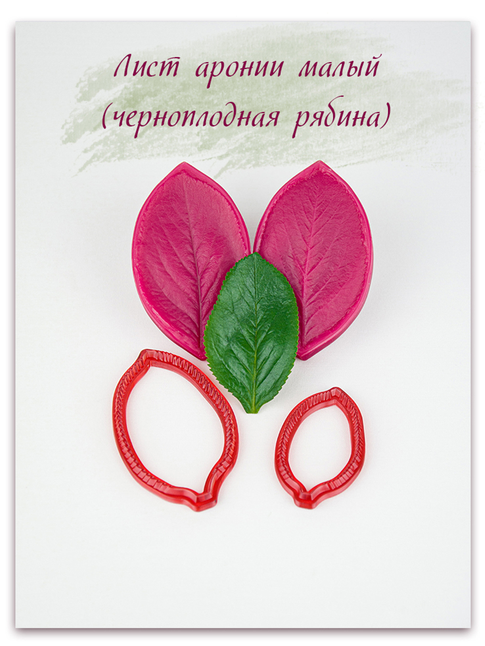 Лист аронии малый (черноплодная рябина)