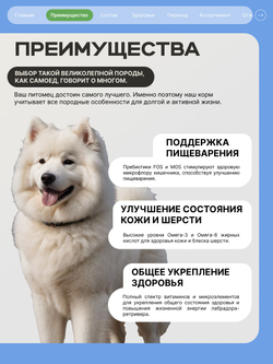 Корм сухой для взрослых собак породы Самоед, с ягненком, 2.5 кг, QUATTRO