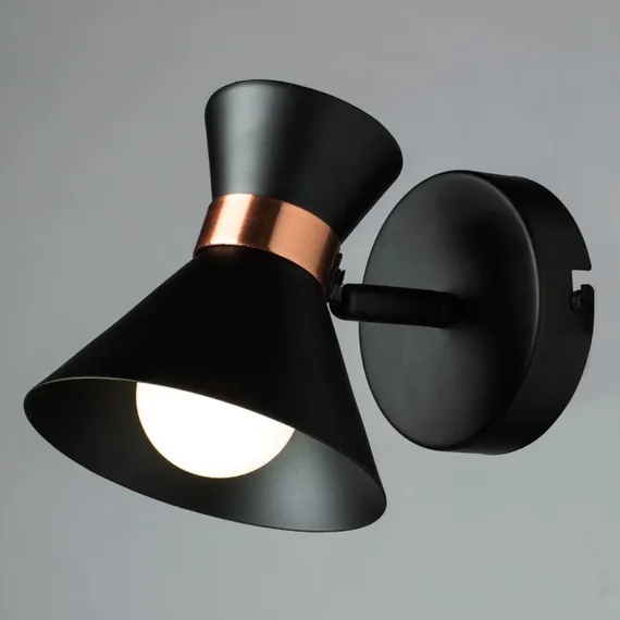 Спот Baltimore A1406AP-1BK Arte Lamp