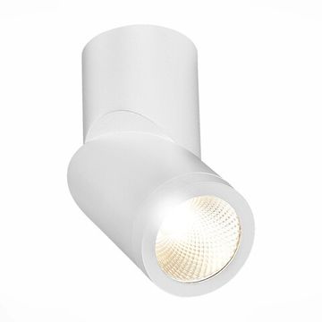 Накладной светодиодный светильник LED 1*10W 3000K ST650.532.10 белый ST-Luce