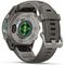 Часы Garmin Fenix 9 — 43 мм Titanium with Pebble Gray Silicone Band (010-04761-11)