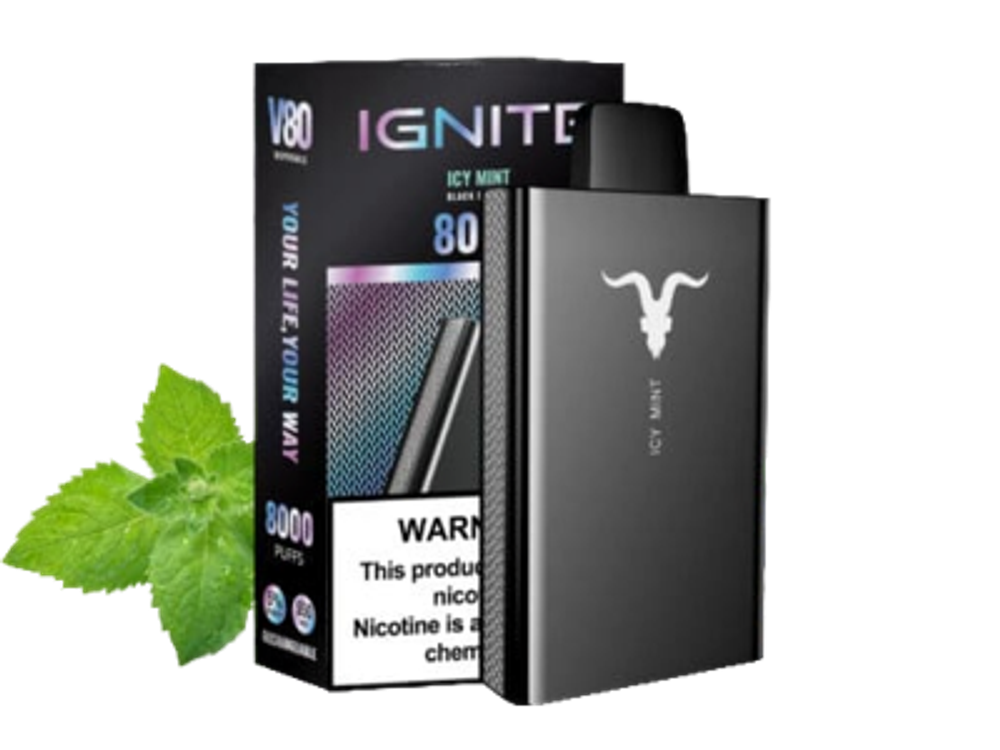 Ignite 8000 Icy mint - ледяная мята купить в Москве с доставкой по России