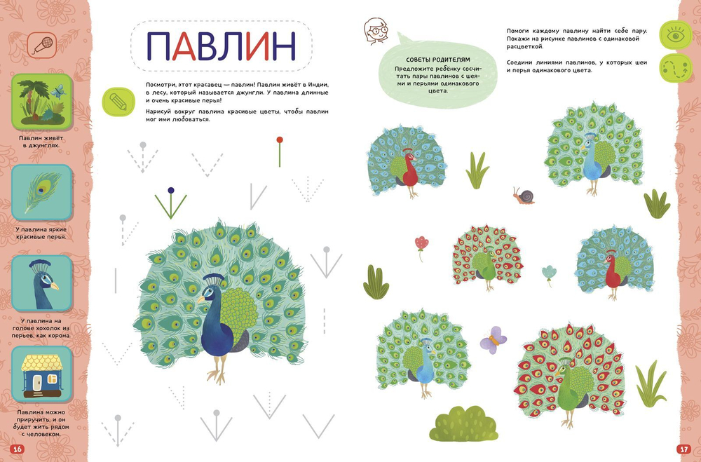 Птицы. Компакт-технологии для одарённых малышей