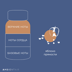 Диффузор ароматический 100мл Ambientair Gifting Карамель и яблоко