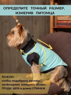Футболка для собак мелких средних пород и кошек