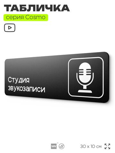 Табличка Студия звукозаписи, 30х10 см, для офиса, кафе, магазина, паркинга, серия COSMO, Айдентика Технолоджи