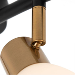 Потолочный светильник Arte Lamp FALENA A3117PL-4BK