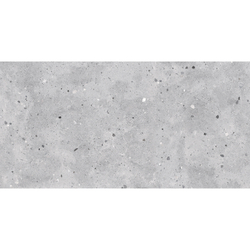 FENIX FOSSIL 60x120 SUGAR