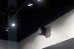 CVGaudio ODF516T